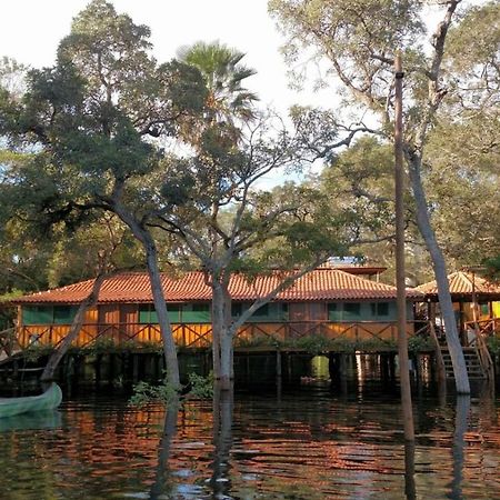 Pantanal Jungle Lodge Passo do Lontra Eksteriør bilde