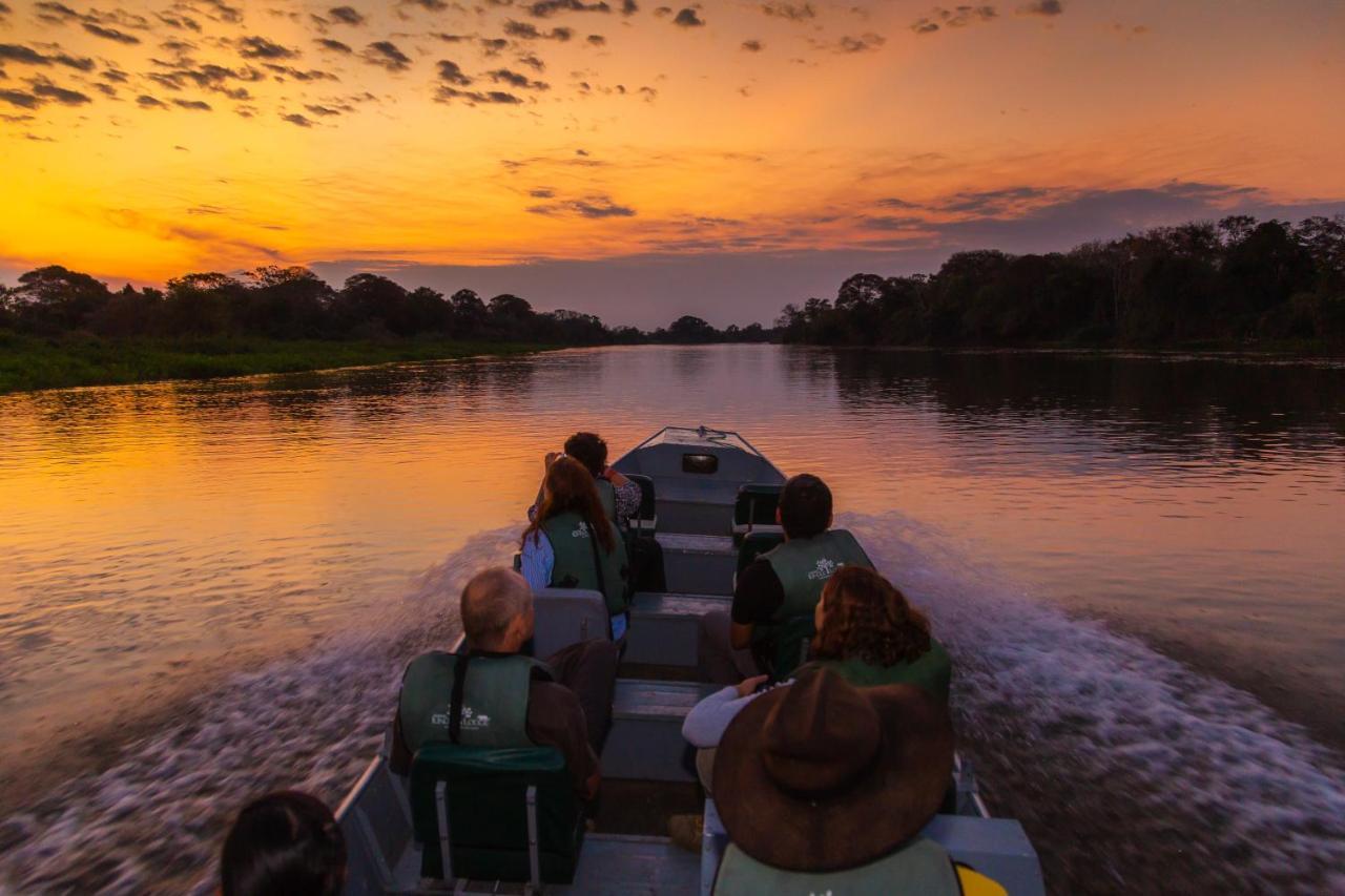 Pantanal Jungle Lodge Passo do Lontra Eksteriør bilde