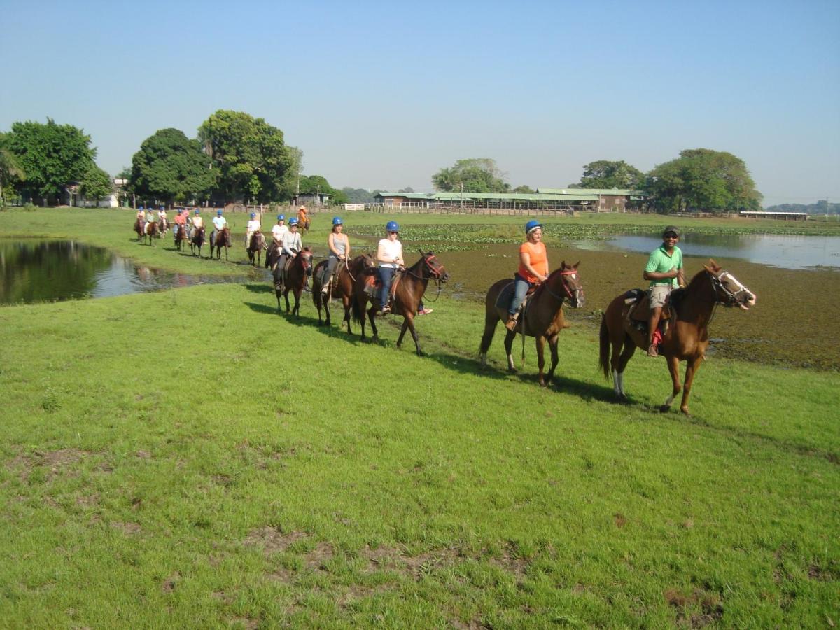 Pantanal Jungle Lodge Passo do Lontra Eksteriør bilde