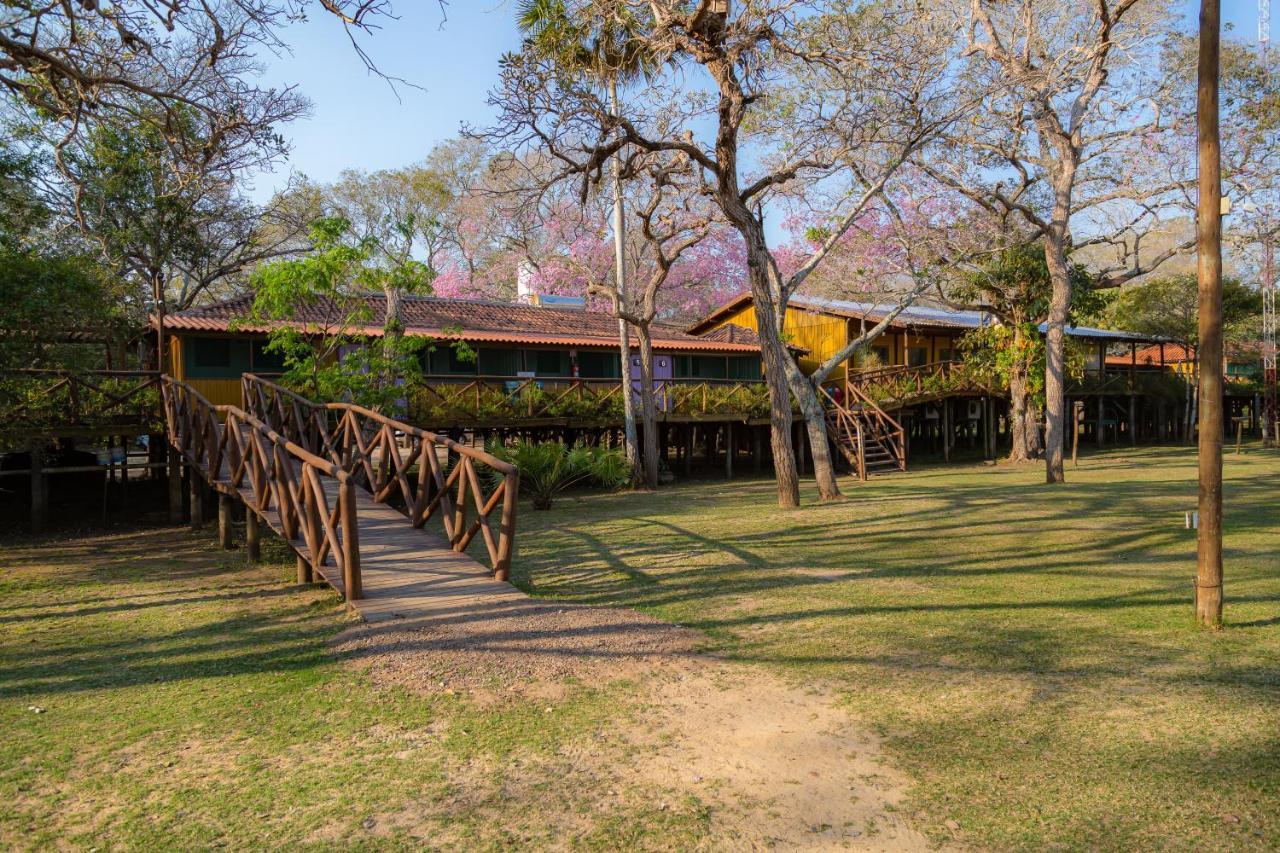 Pantanal Jungle Lodge Passo do Lontra Eksteriør bilde