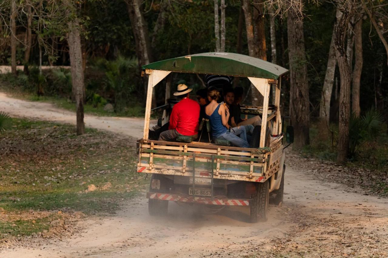 Pantanal Jungle Lodge Passo do Lontra Eksteriør bilde