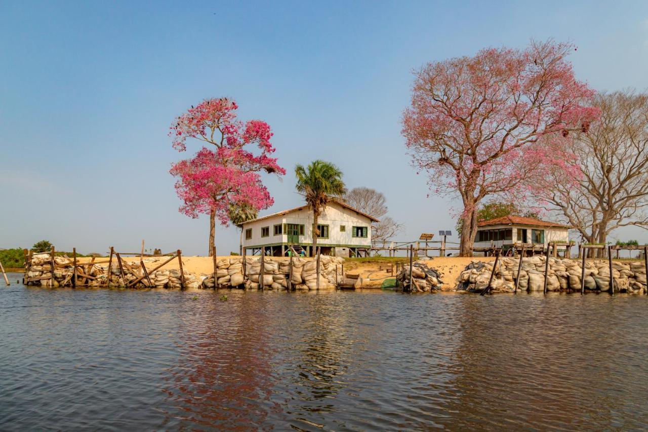 Pantanal Jungle Lodge Passo do Lontra Eksteriør bilde